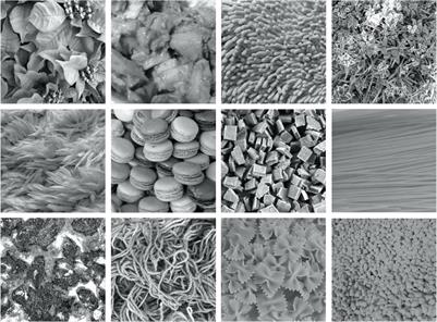 Photorealistic Reconstruction of Visual Texture From EEG Signals